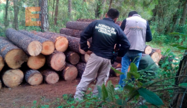 Investigan cambio de suelo en un bosque de Salvador Escalante, Michoacán