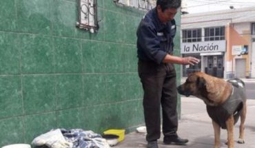 Perrito lleva cuatro días esperando en una esquina a su dueño que murió atropellado