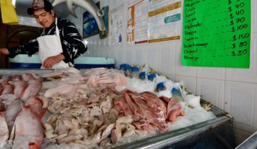 Profeco publica comparativo de precios en pescados y mariscos