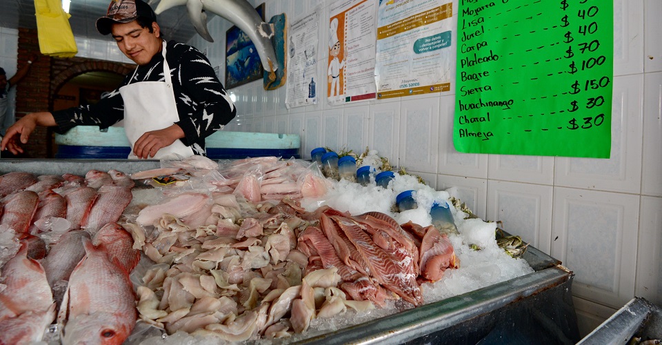 Profeco publica comparativo de precios en pescados y mariscos