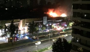 [VIDEO] Cachorros tuvieron que ser rescatados tras incendio que afectó a Mall Parque Arauco