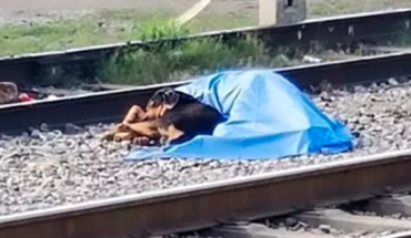translated from Spanish: Dog lies next to the body of his master who had died run over by train in NL