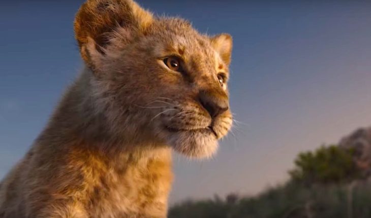 translated from Spanish: Everything you want to know about the new “The Lion King”
