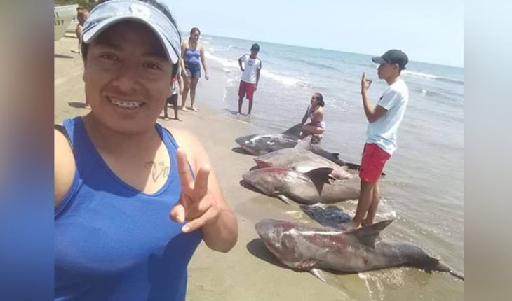 translated from Spanish: In Veracruz, a woman poses with four dead sharks and presumed it on social networks