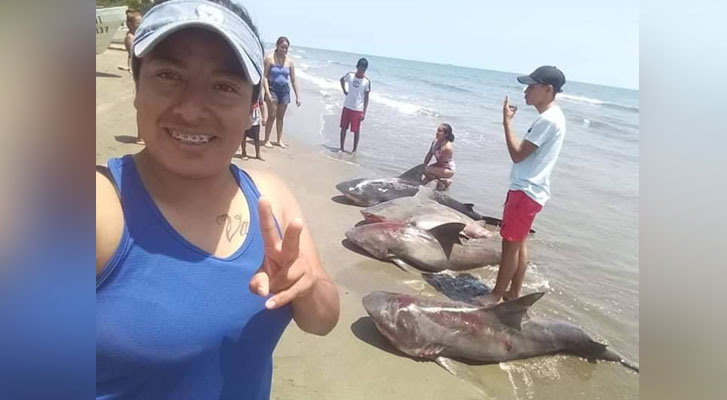 In Veracruz, a woman poses with four dead sharks and presumed it on social networks