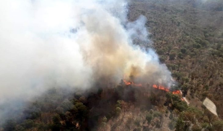 translated from Spanish: La Primavera forest registers two fires within a week
