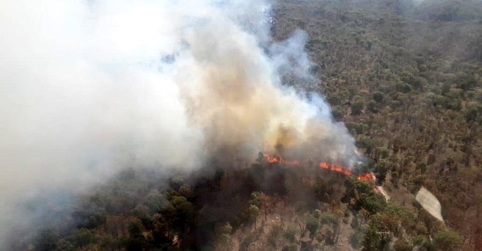 La Primavera forest registers two fires within a week