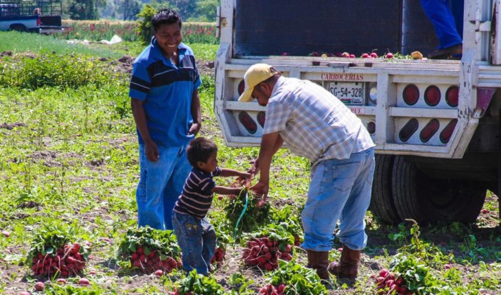 translated from Spanish: Mexico, the second with more child labour in Latin America