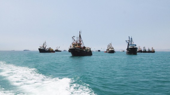 Navy captures three Peruvian fishing boats that were illegally fishing in the country
