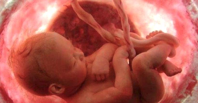 Researchers detected a parasite natural mechanism in the human placenta