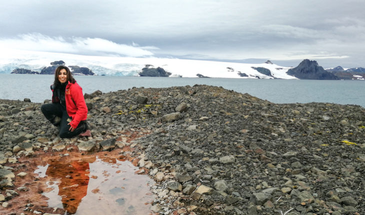 translated from Spanish: Researchers studying microbial diversity of Antarctic soil