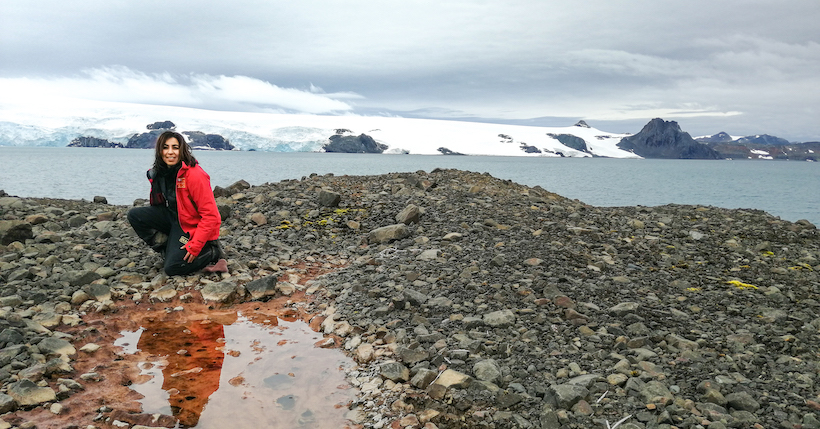 Researchers studying microbial diversity of Antarctic soil