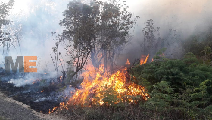 They begin in Patzcuaro, Michoacan campaign against forest fires