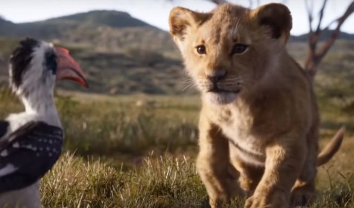 translated from Spanish: “We take care of the planet”: Disney celebrated the earth day with “The Lion King”