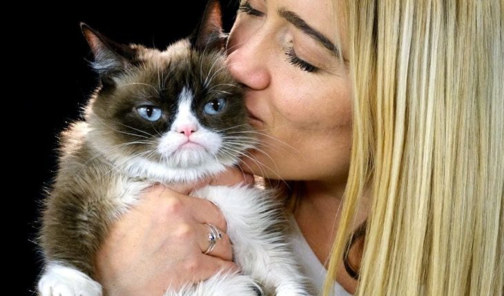 Fallece “Grumpy Cat” la celebridad del internet