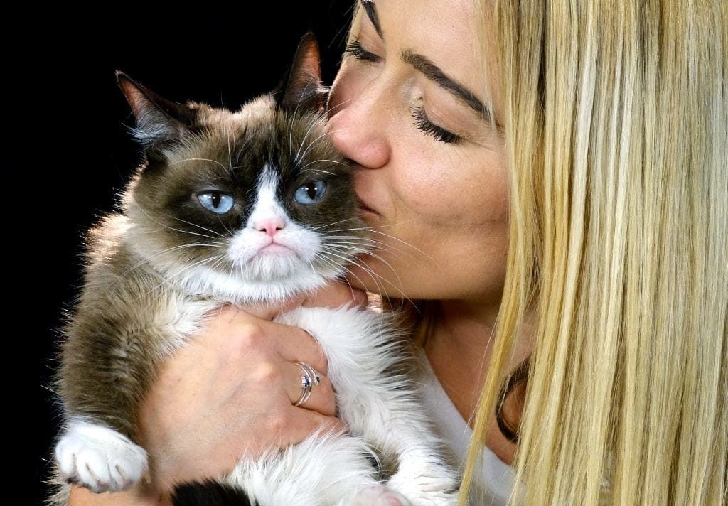 Fallece "Grumpy Cat" la celebridad del internet
