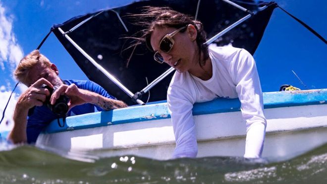 Ilena Zanella, la científica que ganó el “Oscar verde” por crear el primer santuario de tiburones de Costa Rica
