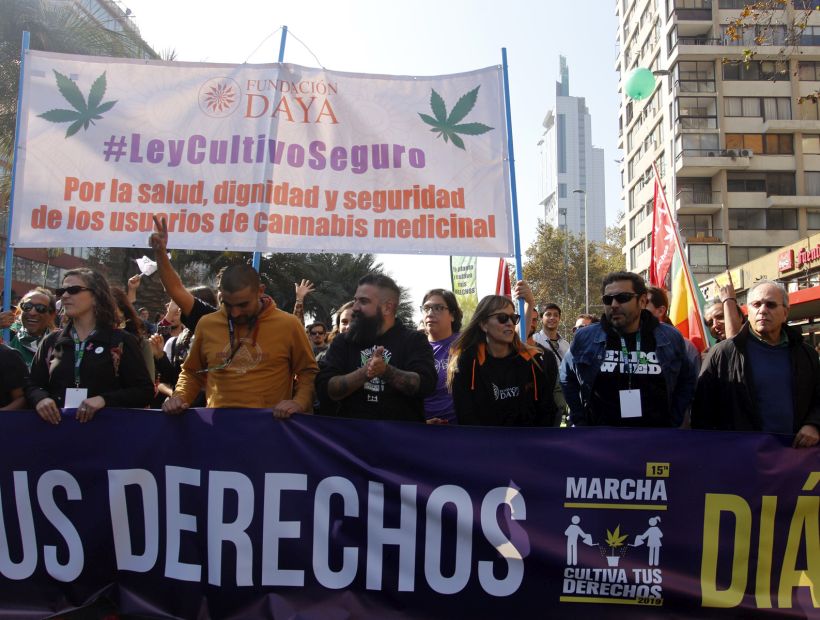 Marcha a favor de la legalización de la marihuana contó con multitudinaria asistencia