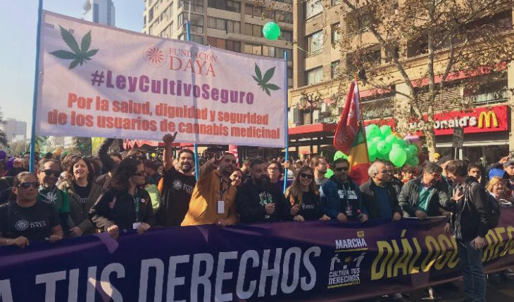 Multitudinaria marcha #CultivatusDerechos hace un llamado a autoridades a promover cambios urgentes en regulación y acceso al cannabis medicinal