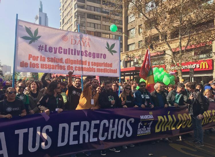 Multitudinaria marcha #CultivatusDerechos hace un llamado a autoridades a promover cambios urgentes en regulación y acceso al cannabis medicinal