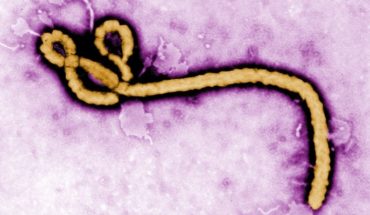 Más de mil personas mueren de ébola en El Congo