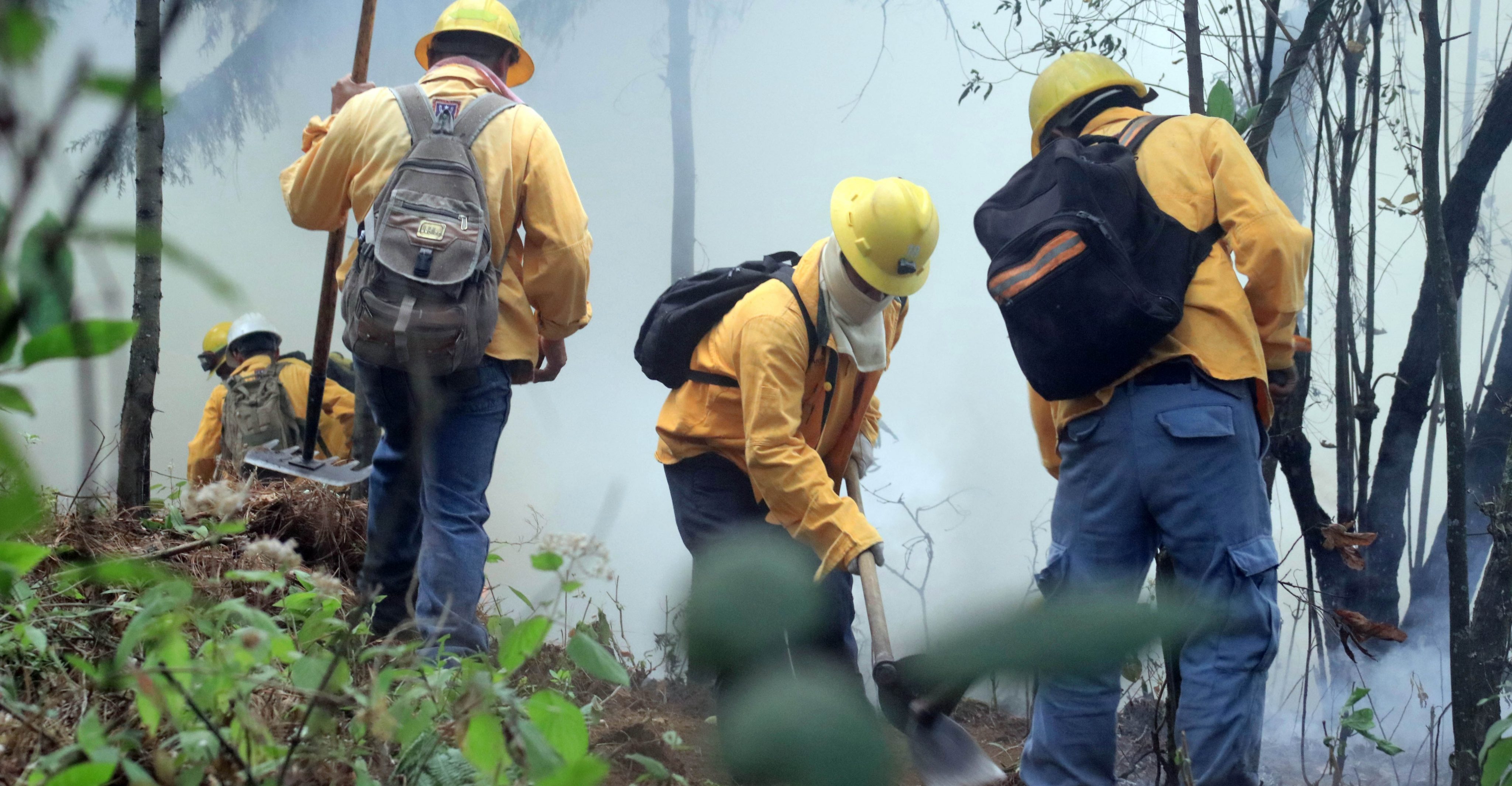 Suspenden clases en Zapopan por incendio forestal