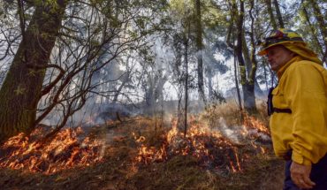 translated from Spanish: Authorities cannot avoid fires that cause contingencies