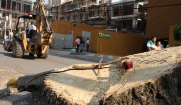 translated from Spanish: Fined with 40 MDP to Mítikah for illegal logging of trees in CDMX