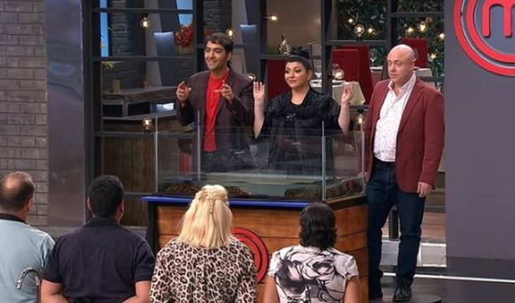 translated from Spanish: Masterchef sums up allegations of animal abuse: cooked live crustacean