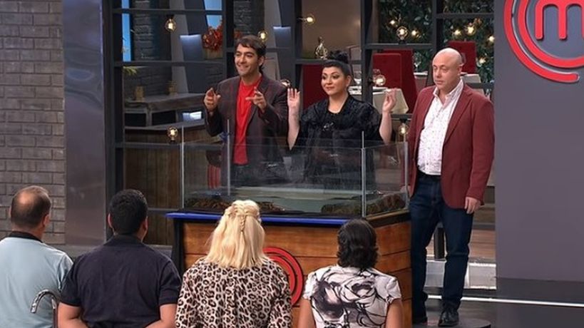Masterchef sums up allegations of animal abuse: cooked live crustacean