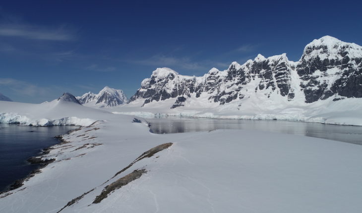 translated from Spanish: Melting glaciers helped the development of important microalgae populations in two Antarctic bays