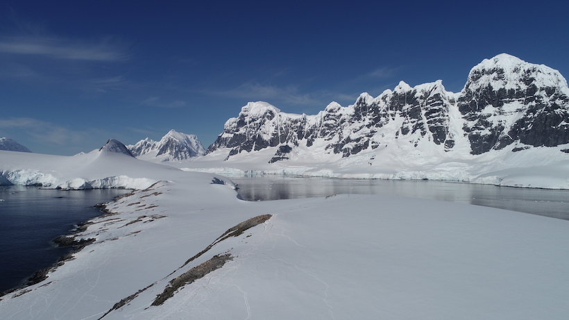 Melting glaciers helped the development of important microalgae populations in two Antarctic bays