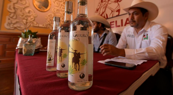 Morelia's Ministry of Rural Development invites you to live "Mezcal route"