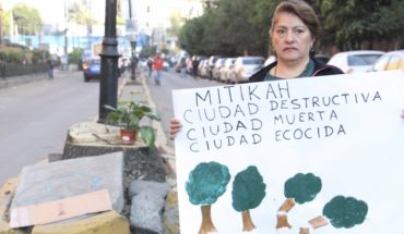 translated from Spanish: Residents of the village of Xoco narrate illegal logging of trees