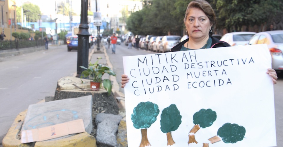 Residents of the village of Xoco narrate illegal logging of trees