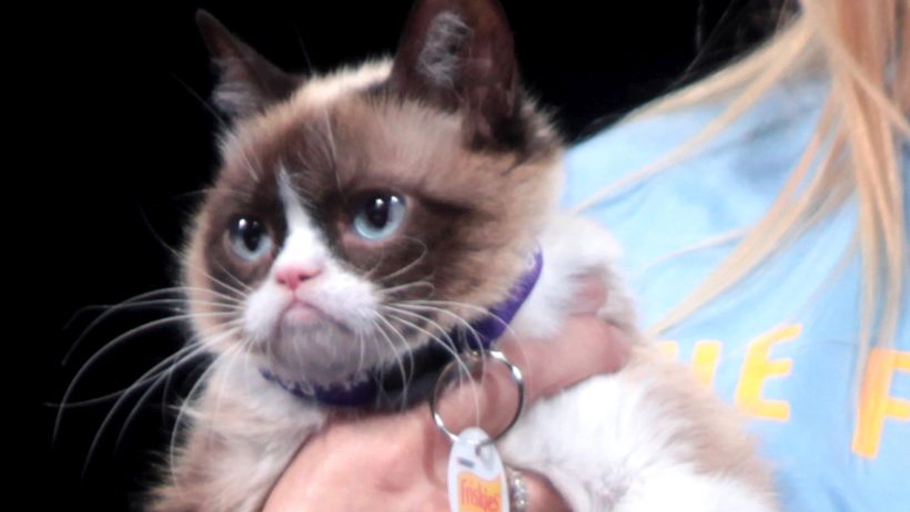 The cat, known as "Grumpy", died.