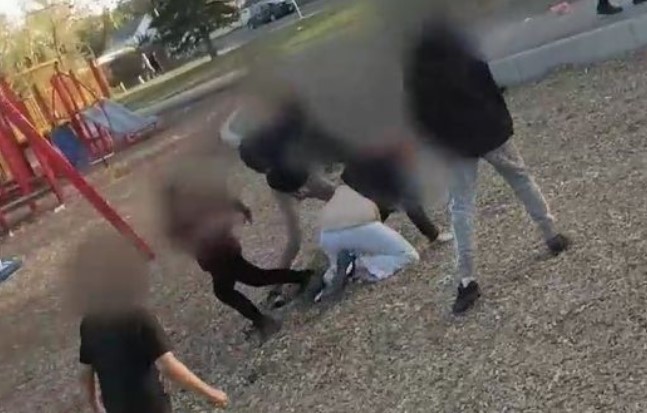 Woman gets beat up by children she challenged for assaulting an elderly man in Canada