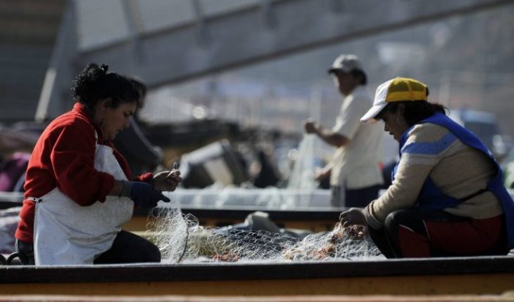 Cuota de género: mujeres de la pesca artesanal se empoderan con proyecto de ley