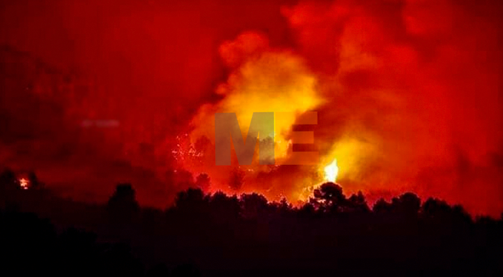 Fuerte incendio forestal se registró en la Tenencia de Buenos Aires, en LC Michoacán
