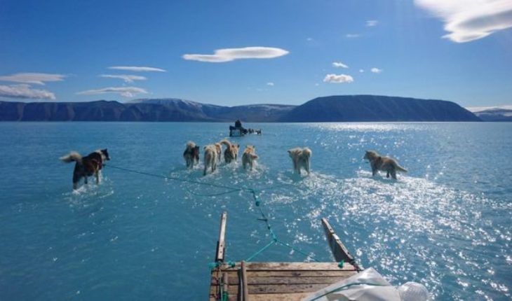 La imagen viral que muestra un “inusual” deshielo en Groenlandia (y preocupa por el cambio climático)