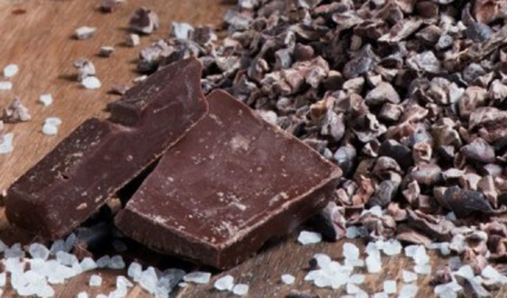 translated from Spanish: Chocolate expert taught to make the most of this delight