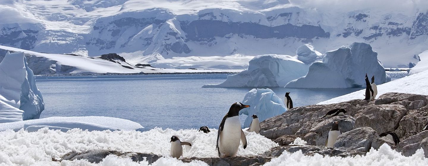 ¡Preocupante! El deshielo de la Antártica marca un nuevo récord