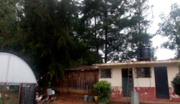 Caída de árboles moviliza cuerpos de auxilio en Zitácuaro, Michoacán