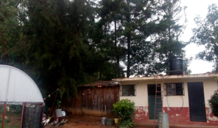 Caída de árboles moviliza cuerpos de auxilio en Zitácuaro, Michoacán