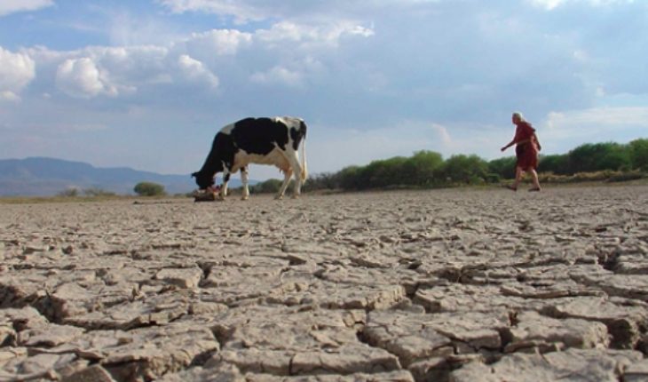 Controlar la escasez de agua 2050: el mayor desafío de Chile