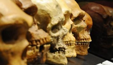 Grecia: identifican al Homo sapiens no africano más antiguo