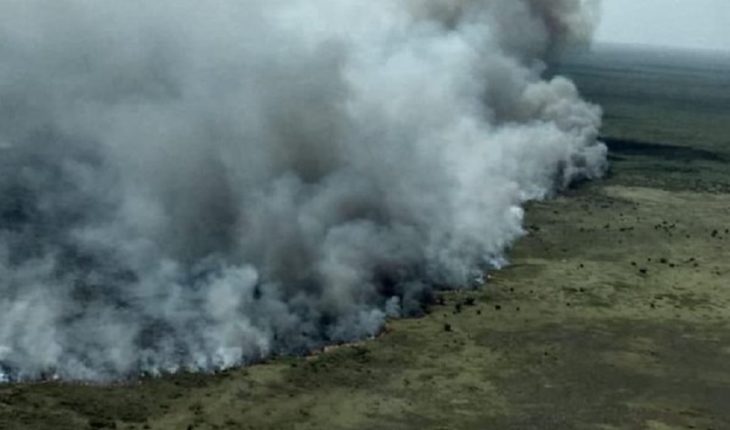 Incendio afecta a reserva ecológica de la biosfera de Sian Ka’an