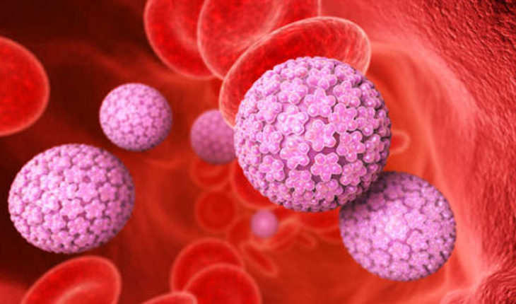 Investigadores del IPN comprobaron la eliminación del Virus del Papiloma Humano