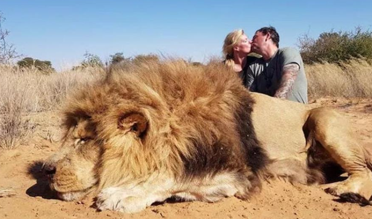 Pareja se besa mientras se toman una foto con el león que acaban de matar