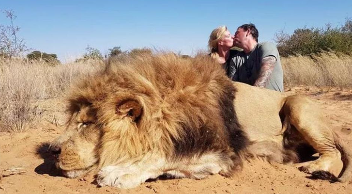 Pareja se besa mientras se toman una foto con el león que acaban de matar